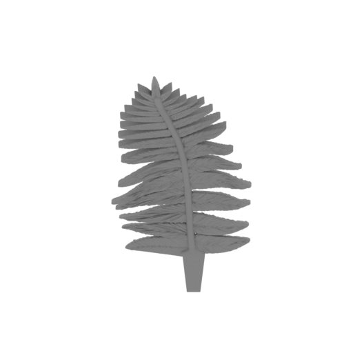 26_fern_7_FDM(repaired).stl