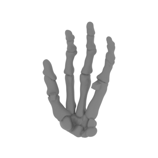 5_hand_2_FDM(repaired).stl