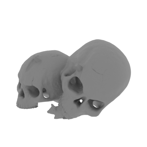 16_skulls_FDM(repaired).stl