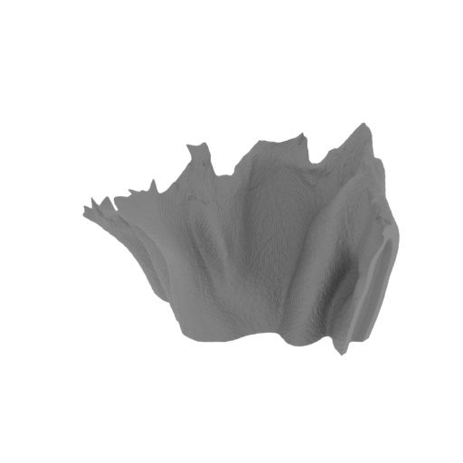 40_cloak_5_FDM(repaired) (repaired).stl