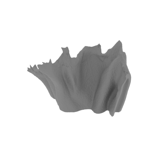 40_cloak_5_FDM(repaired).stl