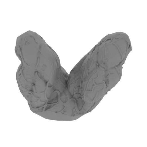 11_legs_FDM(repaired).stl