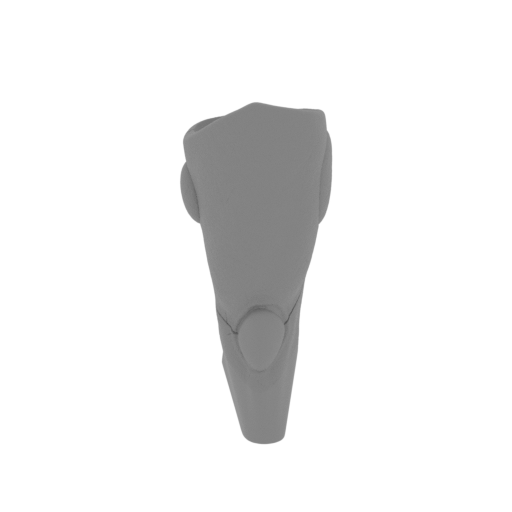 11_leg_L_FDM(repaired).stl