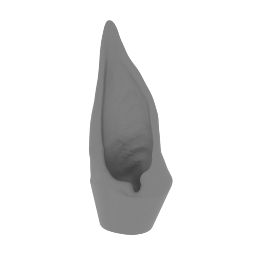 3_ear_L_FDM(repaired).stl