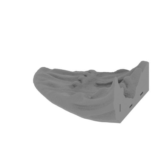 15_platform_4_FDM(repaired).stl