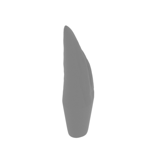 35_claw_1_leg_R_FDM(repaired).stl