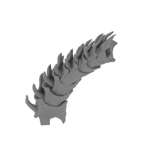 62_tail_1_FDM(repaired).stl