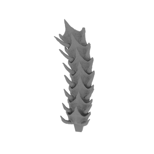 63_tail_2_FDM(repaired).stl