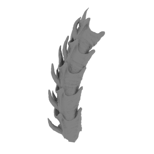 64_tail_3_FDM(repaired).stl