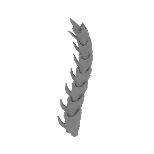 66_tail_5_FDM(repaired).stl