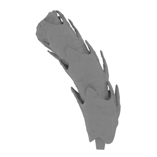 67_tail_6_FDM(repaired).stl