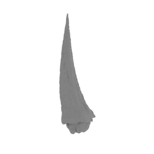 68_tail_7_FDM(repaired).stl