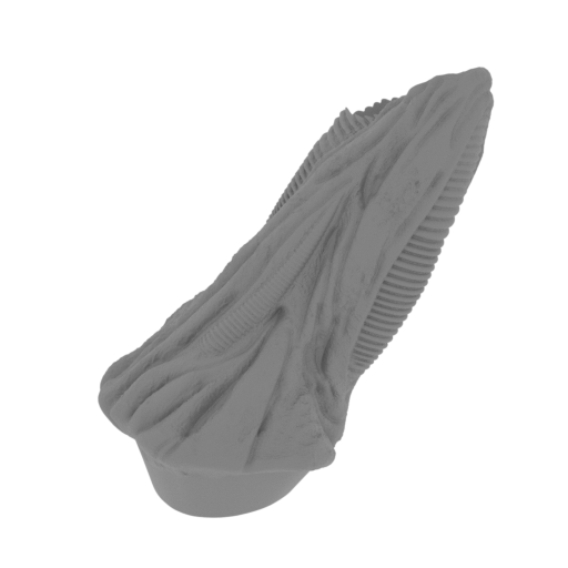 5_arm_R_1_FDM(repaired).stl