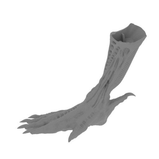 13_foot_R_FDM(repaired).stl