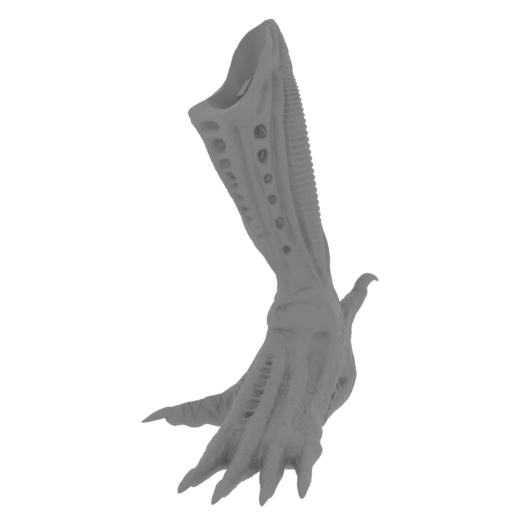 16_foot_L_FDM(repaired).stl