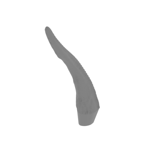 18_spike_2_FDM(repaired).stl