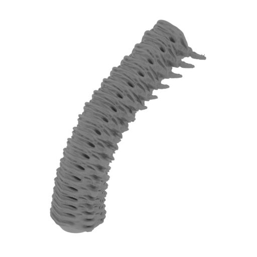 22_tail_1_FDM(repaired).stl