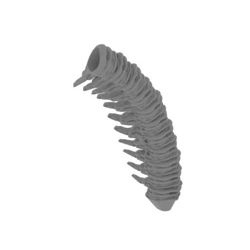 23_tail_2_FDM(repaired).stl