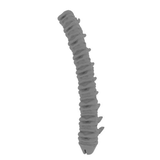 24_tail_3_FDM(repaired).stl