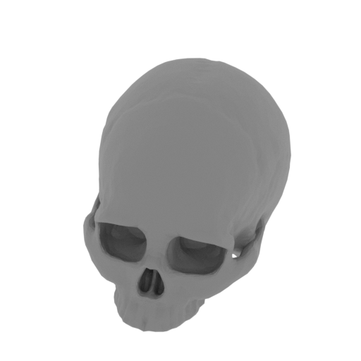 3_skull_3 (repaired).stl