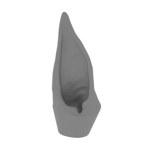 3_ear_L_FDM(repaired).stl