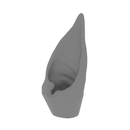 2_ear_R_FDM(repaired).stl