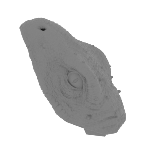 1_head_top_FDM(repaired).stl