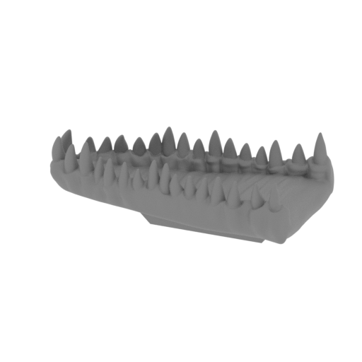 3_jaw_top_FDM(repaired).stl