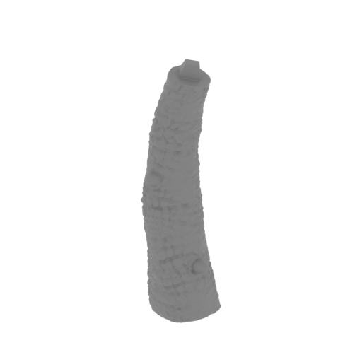 10_tail_4_FDM(repaired).stl