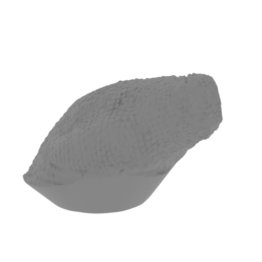 29_leg_L_1_FDM(repaired).stl