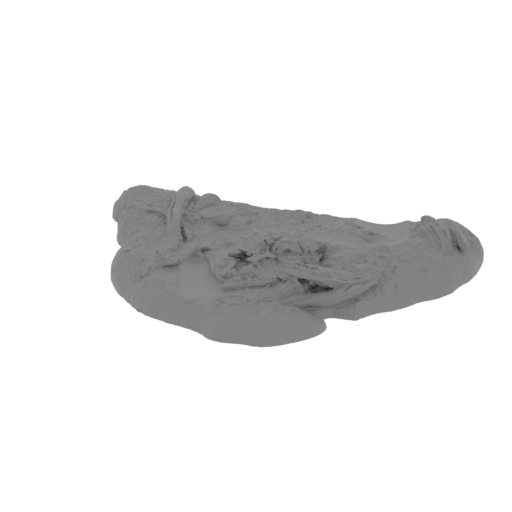 19_platform_1_FDM(repaired).stl