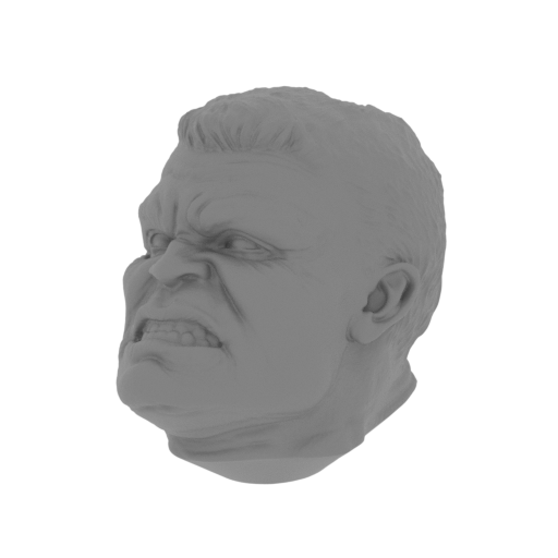 1_head_FDM(repaired).stl