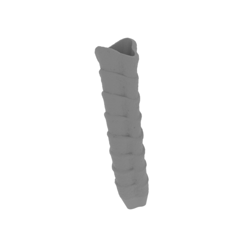 14_Facehugger_tail_4_FDM(repaired).stl