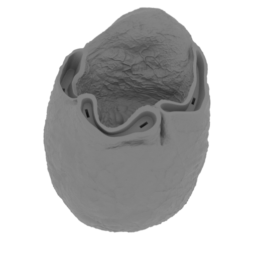 18_egg_1_FDM(repaired).stl