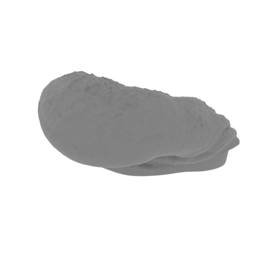 20_egg_3_FDM(repaired).stl