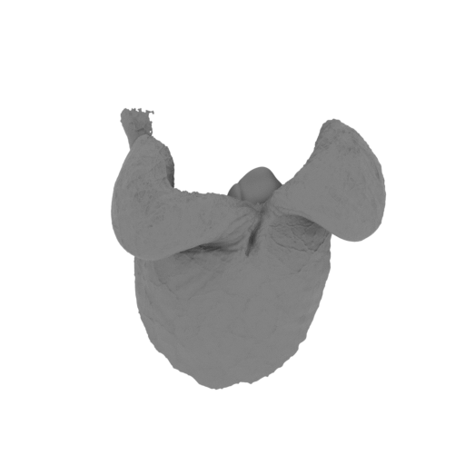 28_Egg_solid_FDM.stl