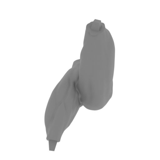 Piernas reparado.stl