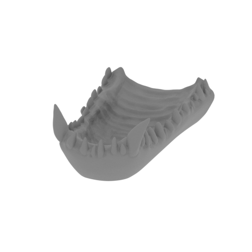 2_jaw_top_FDM(repaired).stl