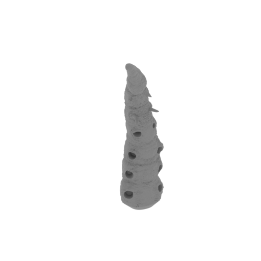 28_tail_2_FDM(repaired).stl