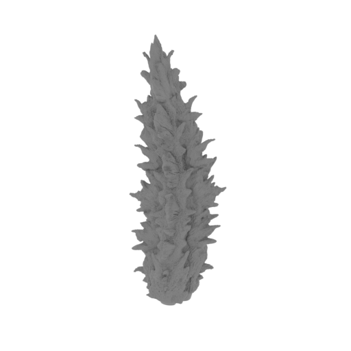 10_tail_5_FDM(repaired).stl