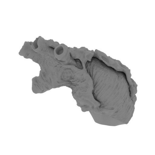 18_hand_L_FDM(repaired).stl