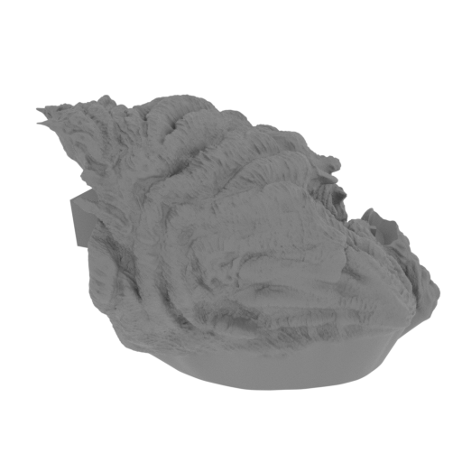 23_leg_R_FDM(repaired).stl