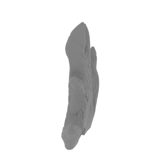 57_plate_21_FDM(repaired).stl