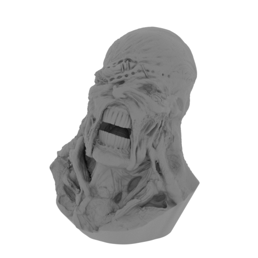 1_head_FDM(repaired).stl