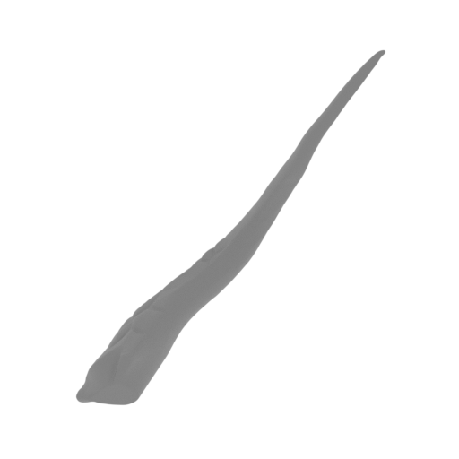 3_horn_2_FDM(repaired).stl