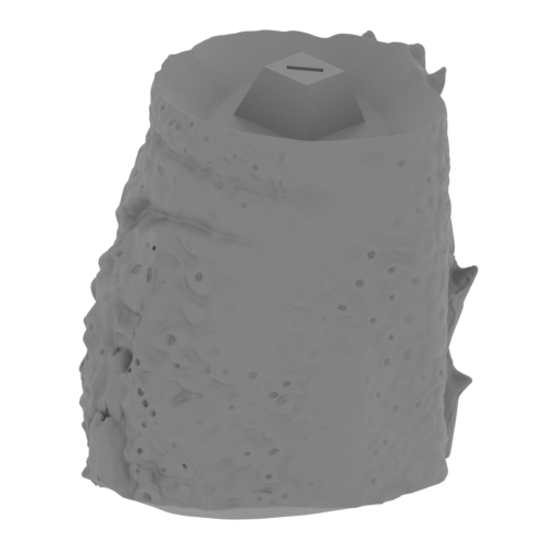 8_tail_2_FDM(repaired).stl