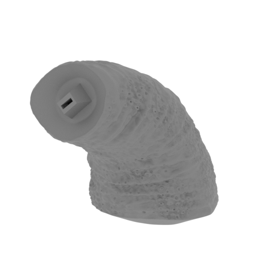 10_tail_4_FDM(repaired).stl