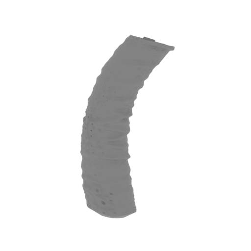 12_tail_6_FDM(repaired).stl