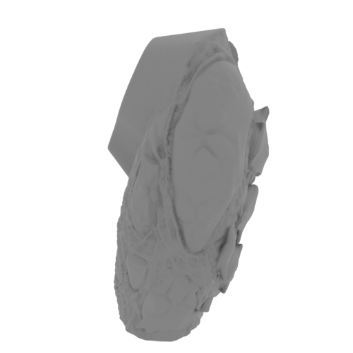 27_leg_L_1_FDM(repaired).stl