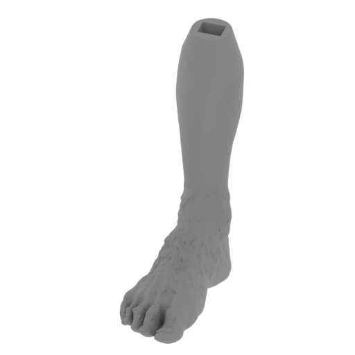 8_foot_R_FDM(repaired).stl